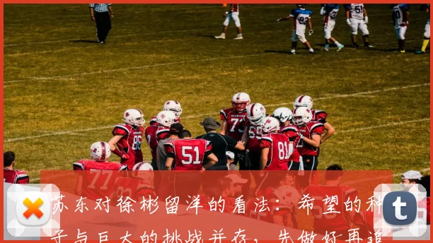 苏东对徐彬留洋的看法：希望的种子与巨大的挑战并存，先做好再追求完美