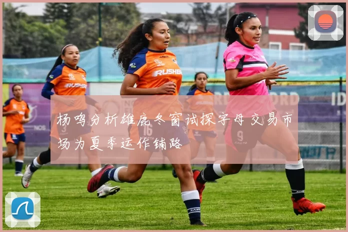 杨鸣分析雄鹿冬窗试探字母交易市场为夏季运作铺路