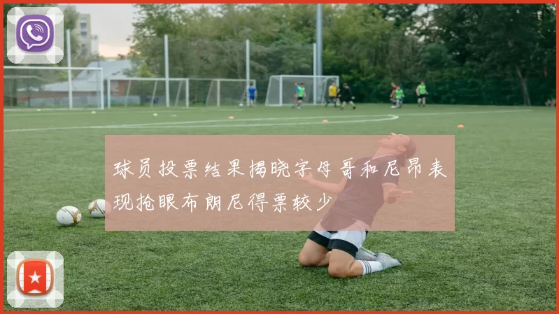 球员投票结果揭晓字母哥和尼昂表现抢眼布朗尼得票较少